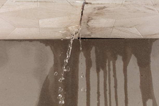 Professional Water Extraction technician working in Hebron, IN